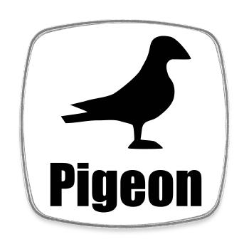 Pigeon - Magnet carré - blanc - Devant