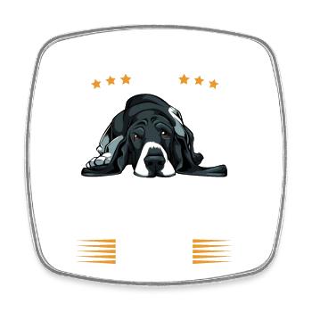Leave Me Alone: Basset Hound Today - Square fridge magnet - white - Front
