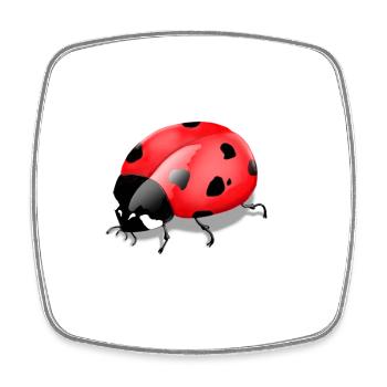 Imprimé insecte - Magnet carré - blanc - Devant