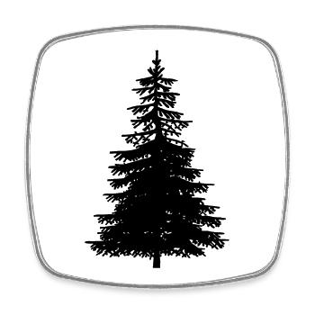 Fir Tree Nature Forest Ecology Nature Conservation Wilderness - Square fridge magnet - white - Front
