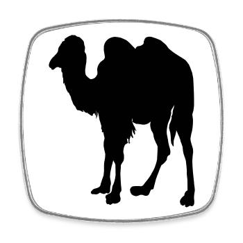 Kamel, Kamel - Viereckiger Kühlschrankmagnet - Weiß - Vorne
