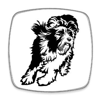 Bearded Collie - Magnet carré - blanc - Devant