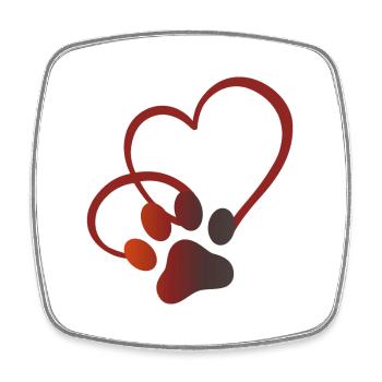 patte de chat avec coeur amoureux des chats amoureux des chats - Magnet carré - blanc - Devant