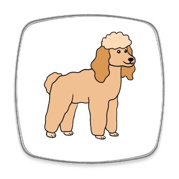 Pudel Hund Hunderasse - Viereckiger Kühlschrankmagnet - Weiß - Vorne