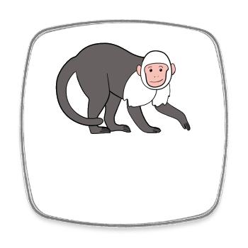 Singe capucin Singe - Magnet carré - blanc - Devant