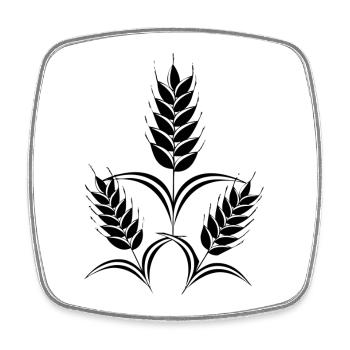 3 ears of corn - Square fridge magnet - white - Front