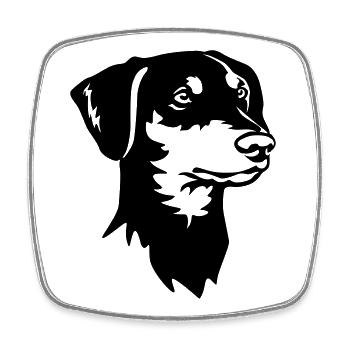 German Pinscher Head - Square fridge magnet - white - Front