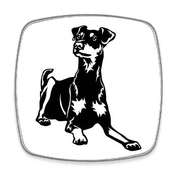 Pinscher allemand - Magnet carré - blanc - Devant