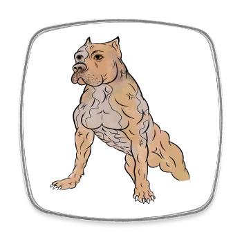 Muscular Dog - American Staffordshire Terrier - Square fridge magnet - white - Front