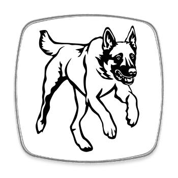 Malinois - Magnet carré - blanc - Devant