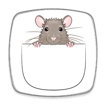 Mouse from pocket looks curious - Square fridge magnet - white - Front
