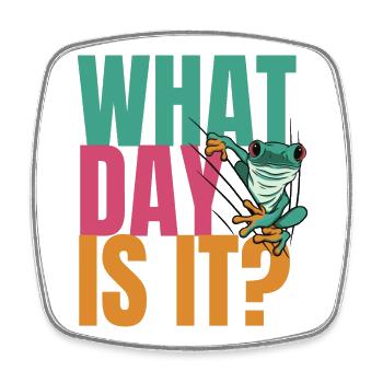 Wednesday my Dudes Day Frog Meme - Square fridge magnet - white - Front