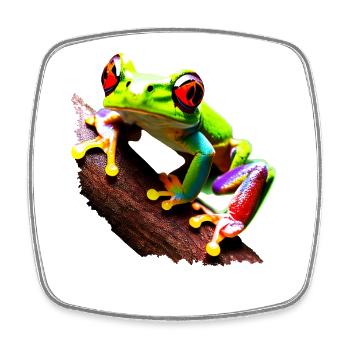 Red eyes tree frog on branch - Square fridge magnet - white - Front