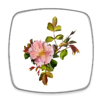 Zarte Rosa Rosenblüte - Viereckiger Kühlschrankmagnet - Weiß - Vorne