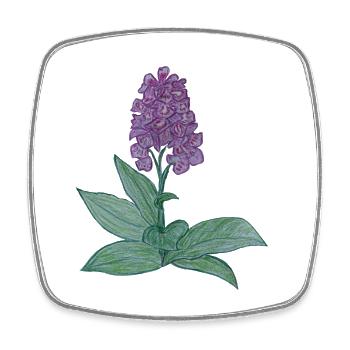 dänische Orchidee - Viereckiger Kühlschrankmagnet - Weiß - Vorne