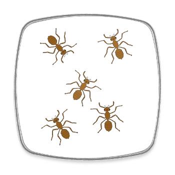 ants, insects, insect, forest dwellers, forest animals - Square fridge magnet - white - Front