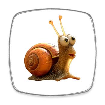 Snail Vineyard Snail Shell Snails - Square fridge magnet - white - Front