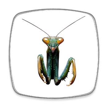 Gottesanbeterin Praying Mantis Liebe Fangschrecken - Viereckiger Kühlschrankmagnet - Weiß - Vorne
