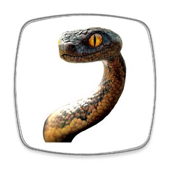 Snake Python Cobra Mamba Rattlesnake Snake - Square fridge magnet - white - Front