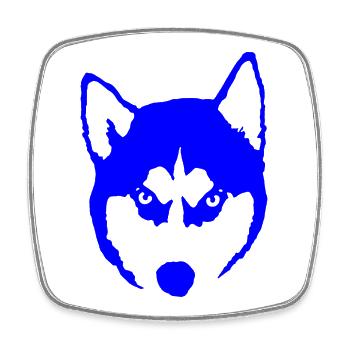 Siberian Husky Hund Sibirischer Schlittenhund - Viereckiger Kühlschrankmagnet - Weiß - Vorne