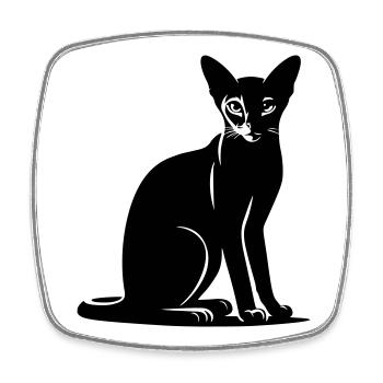 Chat abyssin - Magnet carré - blanc - Devant
