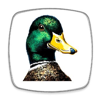 Canard, Canard colvert, Caneton, Caneton, , Canard - Magnet carré - blanc - Devant