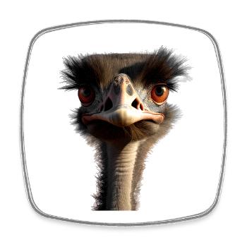 Strauss Vogel Strauß Großer Emu Laufvogel Sträuße - Viereckiger Kühlschrankmagnet - Weiß - Vorne