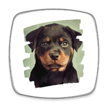 Rottweiler - Magnet carré - blanc - Devant
