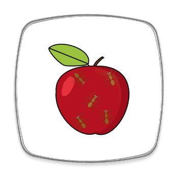 Apple Fruit Garden Ants Insects Insect - Square fridge magnet - white - Front