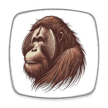 Orangutan - Square fridge magnet - white - Front
