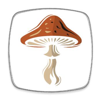 Toadstool Symbol - Nature and Mushrooms - Square fridge magnet - white - Front