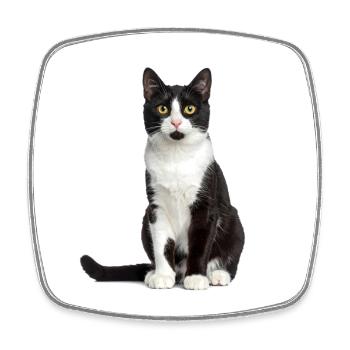 Black/White Cat – Good Pet Edition - Viereckiger Kühlschrankmagnet - Weiß - Vorne