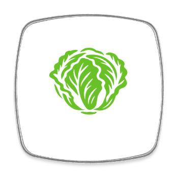 Salade - Êtes-vous végétalien ? Encore? - Régime végétalien - Magnet carré - blanc - Devant