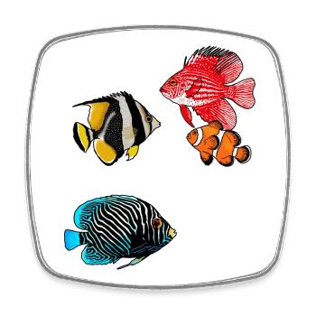 Exotic fish - Square fridge magnet - white - Front