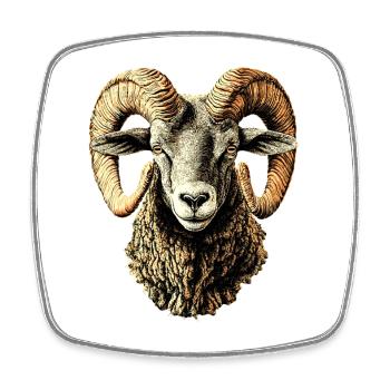 Widder Mufflon Aries Wilde Schafe Männliches Schaf - Viereckiger Kühlschrankmagnet - Weiß - Vorne
