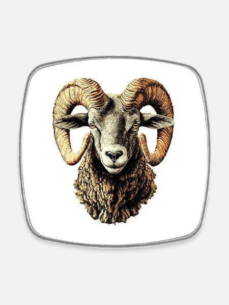 Bélier mouflon Bélier Mouton sauvage Mouton mâle - Magnet carré - blanc