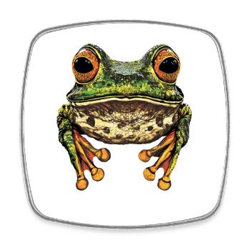 Frog Little Toad Tree Frog Frog Prince Frogs - Square fridge magnet - white - Front