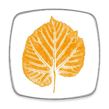 feuille de tilleul - Magnet carré - blanc - Devant