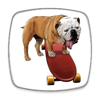 Playful bulldog on skateboard - Square fridge magnet - white - Front