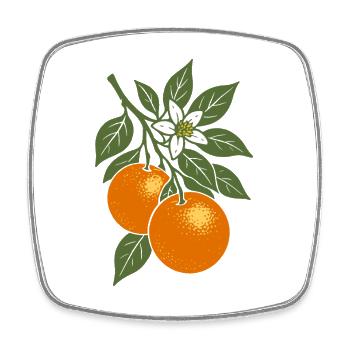 Orangen - frische Früchte - Obst Geschenk - Viereckiger Kühlschrankmagnet - Weiß - Vorne