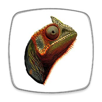 Caméléon Lézard Reptile Caméléon Iguane Lézard - Magnet carré - blanc - Devant