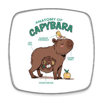 Anatomie du Capybara Illustration Amusante - Magnet carré - blanc - Devant