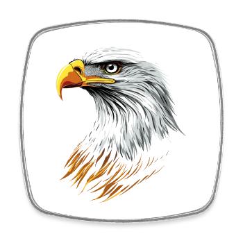 Adler Weißkopfseeadler Steinadler Seeadler Eagle - Viereckiger Kühlschrankmagnet - Weiß - Vorne