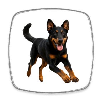 Beauceron - Viereckiger Kühlschrankmagnet - Weiß - Vorne
