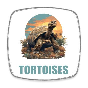 Tortoises Tortoise - Square fridge magnet - white - Front