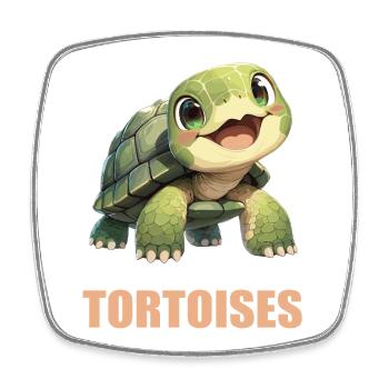 Tortoises Tortoise - Square fridge magnet - white - Front
