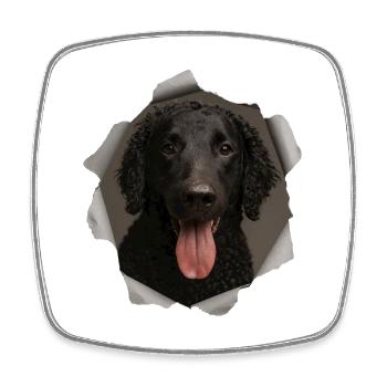 Curly coated retriever - Square fridge magnet - white - Front