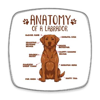 Anatomie d’un Labrador roux renard - Magnet carré - blanc - Devant