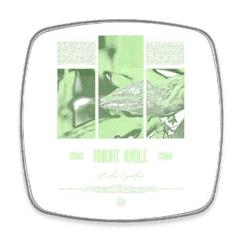Kubanischer Ritter Anole Eidechse Besitzer Reptilienhalter - Viereckiger Kühlschrankmagnet - Weiß - Vorne