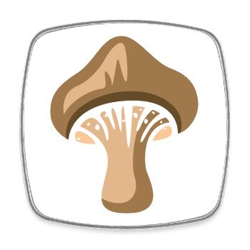 Funny Mushroom Cartoon – Nature & Forest Design - Square fridge magnet - white - Front